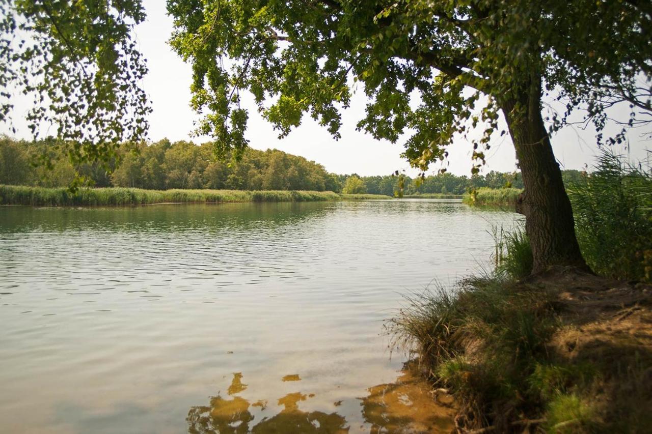 Hospoda-Ferienhaus Am Olba-See Malschwitz Esterno foto
