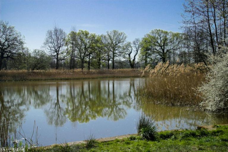 Hospoda-Ferienhaus Am Olba-See Malschwitz Esterno foto